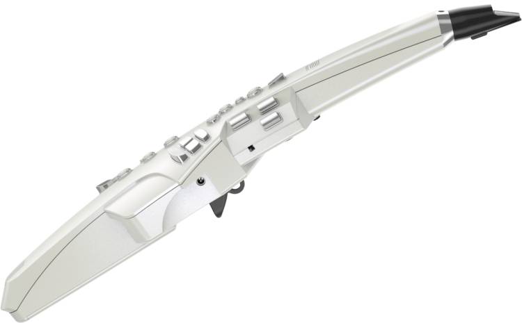 Roland Aerophone AE-10